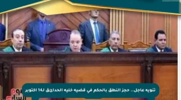 تنويه عاجل.. حجز النطق بالحكم في قضية خلية الحدائق لـ14 أكتوبر